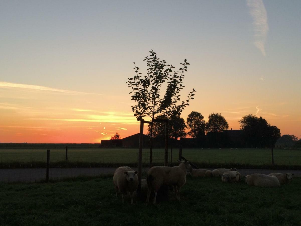 Boerengastenverblijf De Kromme Rijn Cothen ภายนอก รูปภาพ